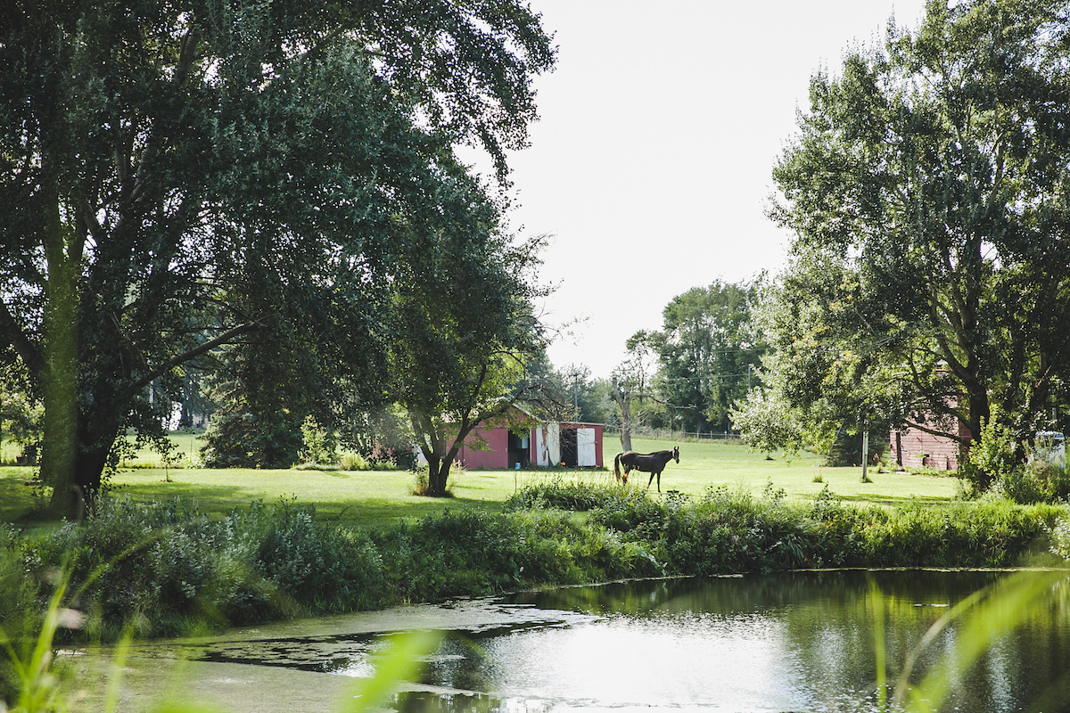 Farm Yoga Retreats?