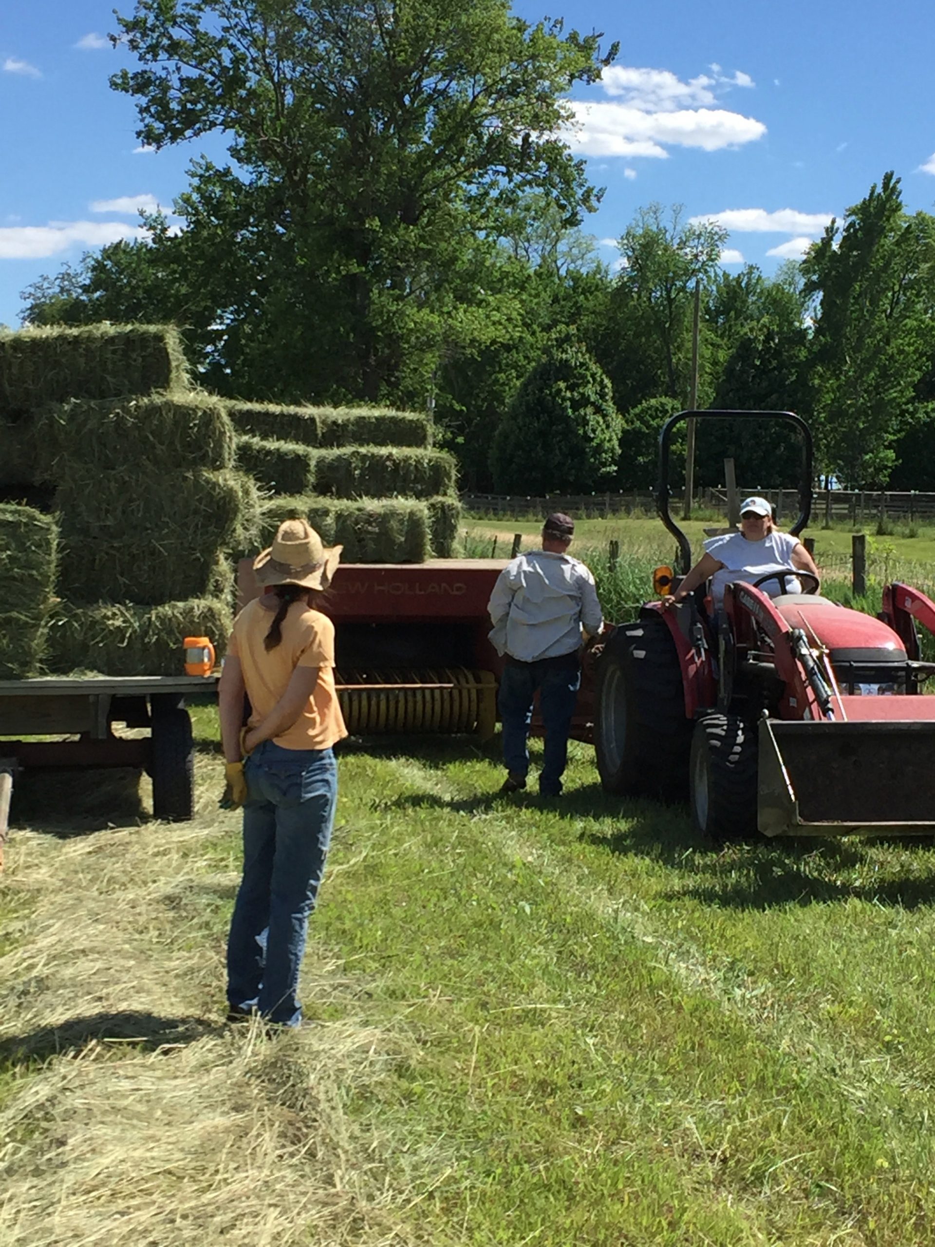 Making Hay