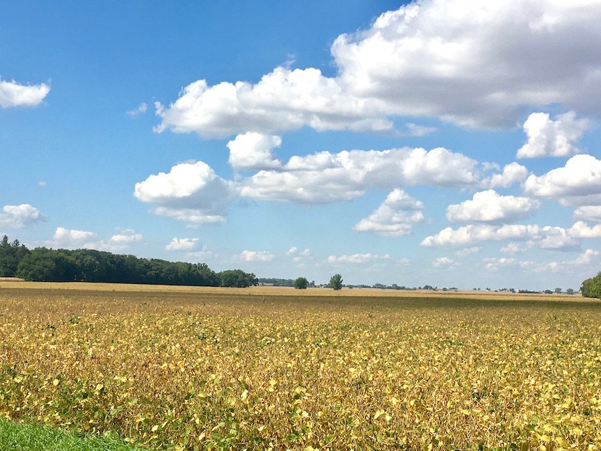 Farm Roads and Life