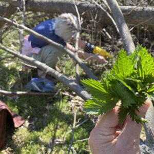 May 3 Foraging Day