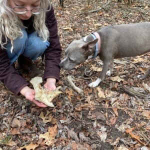 July 18 Nature Spell Jars